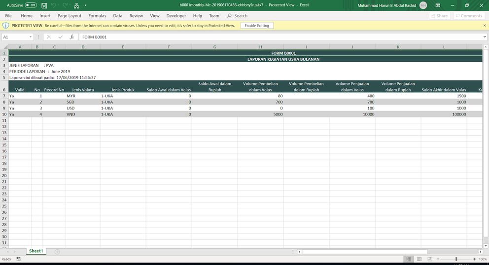 B0001 monthly report in Excel format